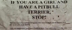 You Are A Stalker Quotes If you are a girl imgur