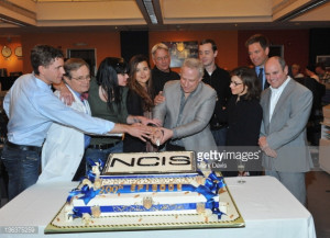 Michael Weatherly Brian Dietzen Pauley Perrette Mark Harmon Cote