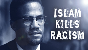 Displaying 19> Images For - Malcolm X Quotes On Racism...
