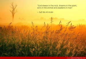 Other Quotes & Sayings