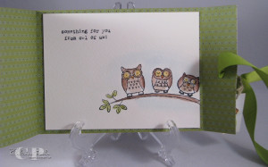 This card is a perfect example of adding a pop to a card with a set ...