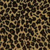Leopard Print Background photo LeopardPrintBackground.jpg