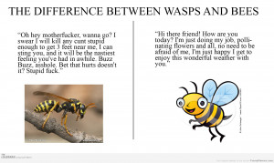 Funny memes difference between wasps and bees
