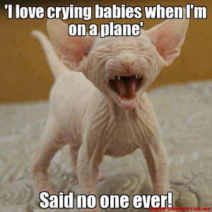 funny cat pic with a quote that sais: 