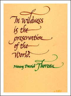 Today was the birthday of Henry David Thoreau. He famously wrote,