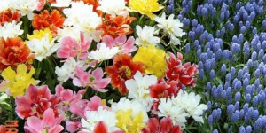 ... biblical quotes specially chosen to reflect on for thanksgiving day