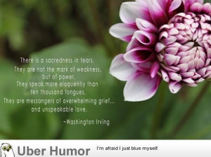 inspirational quotes quote of the day