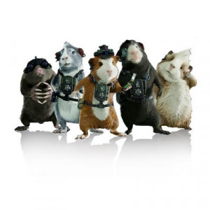 Force film Picture Slideshow