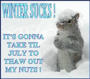 Winter Sucks!! It's gonna take til July to thaw out my nuts!!