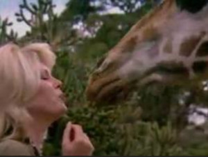 15 Joanna Lumley Quotes to live by