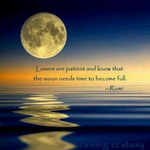 Rumi wisdom ~