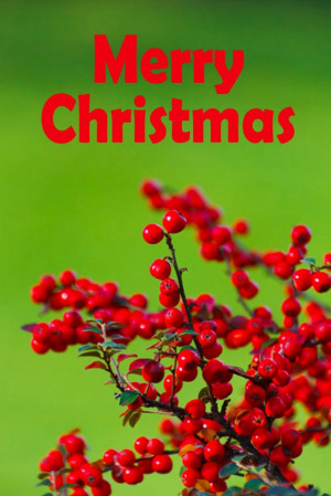 Free Printable Christmas Card Sayings Digital Fun