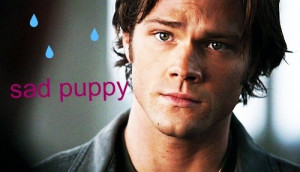 Supernatural Sammy - sad puppy
