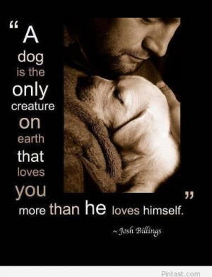 Awesome quotes about dogs