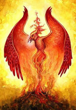 PART FOUR- Like the Phoenix, my Jay is learning to rise from the ashes ...