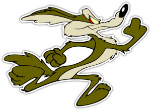 Road Runner And Wile Coyote