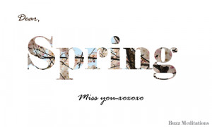 Dear Spring, Miss You ”