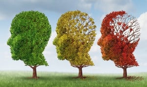 Alzheimers-Stages-of-Alzheimers-Disease.jpg