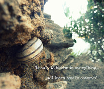 Quotes Quote Summer Sunset