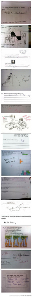 Funny photos funny exam test answers