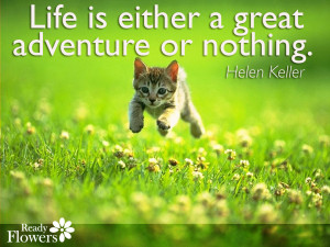 Life Is Either A Great Adventure Or Nothing - Pets Quote