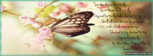 Butterfly Skulls Facebook Cover Timeline Covers My Fb Picture