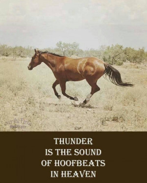 Thunder is the sound of hoof beats in heaven