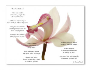 Personalised Poems From The Poetry Studio Gifts For