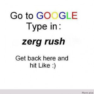 funny-quotes-funny-pics-funny-animals-funny-kids-funny-conversations ...