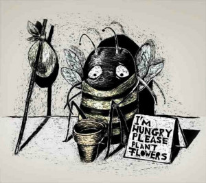 Grow more Bee-friendly Flowers please...