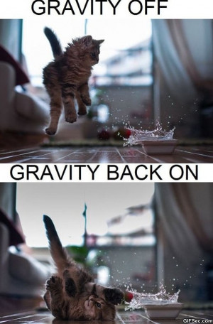 Funny – Gravity - Funny Pictures, MEME and Funny GIF from GIFSec.com