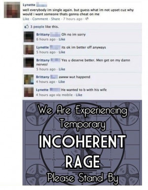 funny-picture-incoherent-rage-facebook