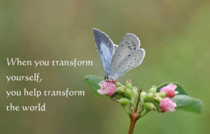 Butterfly Transformation Quotes