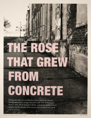 The Rose that grew from concrete - Tupac Shakur’s Poetry book.