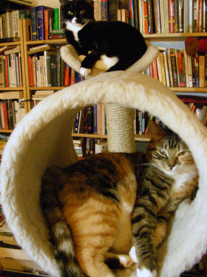 Chief Dan George Quotes From Little Big Man