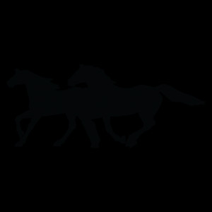 Two Galloping Horses Wall Quotes™ Wall Art Decal