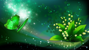 download lily of the valley shine wallpaper tags stars lily of the ...