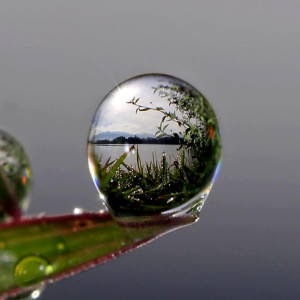 How to shoot extreme macro shot of an image formed on a water droplet?