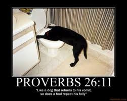 Through The Bible In Five 20 Proverbs- episode 139