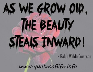 Quotes Of Life As we grow old, the beauty steals inward » Quotes Of ...