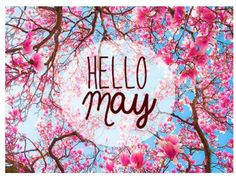 Hello may More