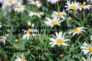 The post Earth Day Quotes appeared first on Upstate Ramblings .