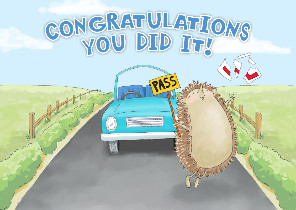 driving test pass congratulations card