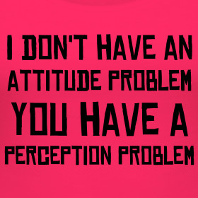 Design ~ I don't have an attitude problem...