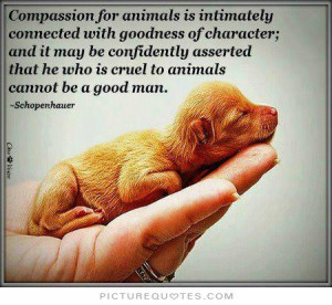 ... Quotes Animal Rights Quotes Animal Cruelty Quotes Animal Love Quotes