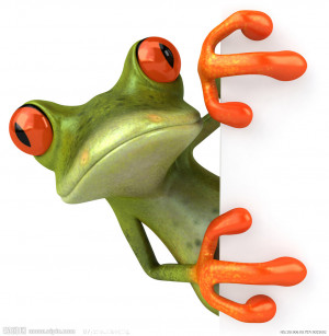 3D青蛙
