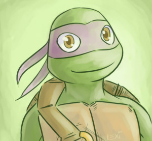 donnie ninja turtles