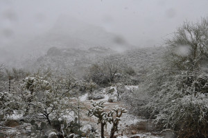 It snowed this day, and Arizona desert snow is rare.