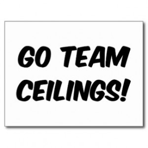Go Team Ceilings Ultimate Fan Postcard