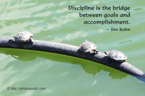 Discipline Quotes and Sayings